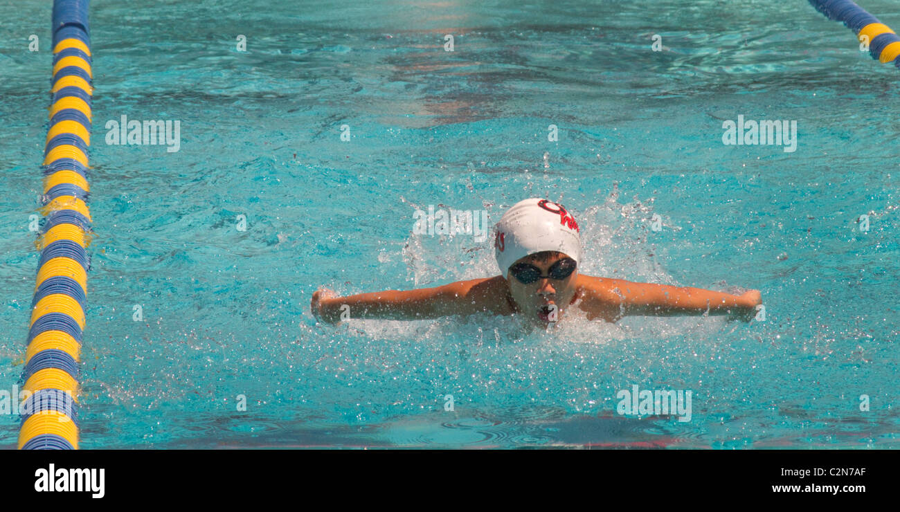 youth swim meet race compete speedo pool water boy girl kid child breast  stroke breath fast sun health exercise 13 yo 14 15 Stock Photo - Alamy