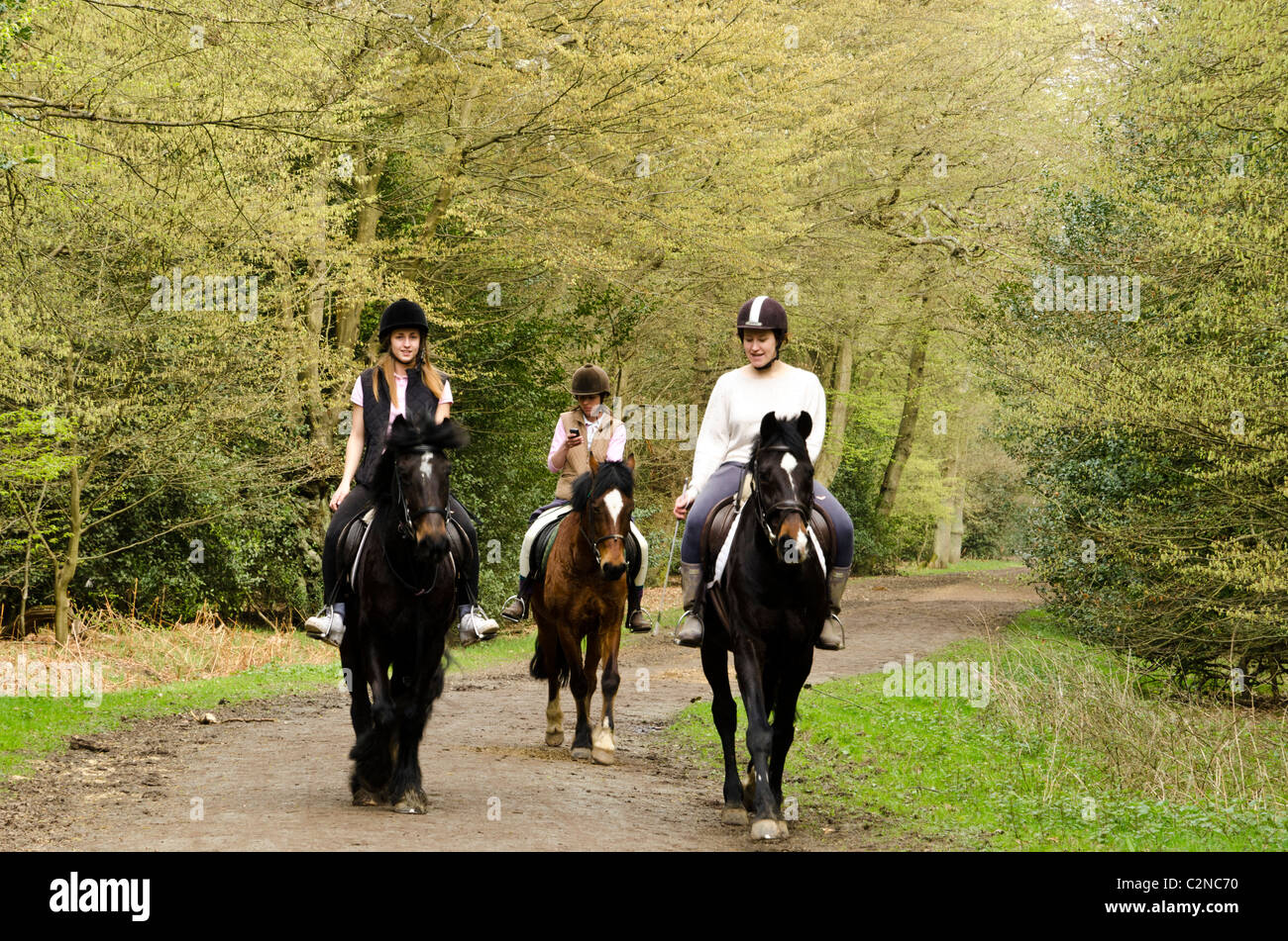 Horse riding in Richmond Park, London, England, Great Britain, UK Stock