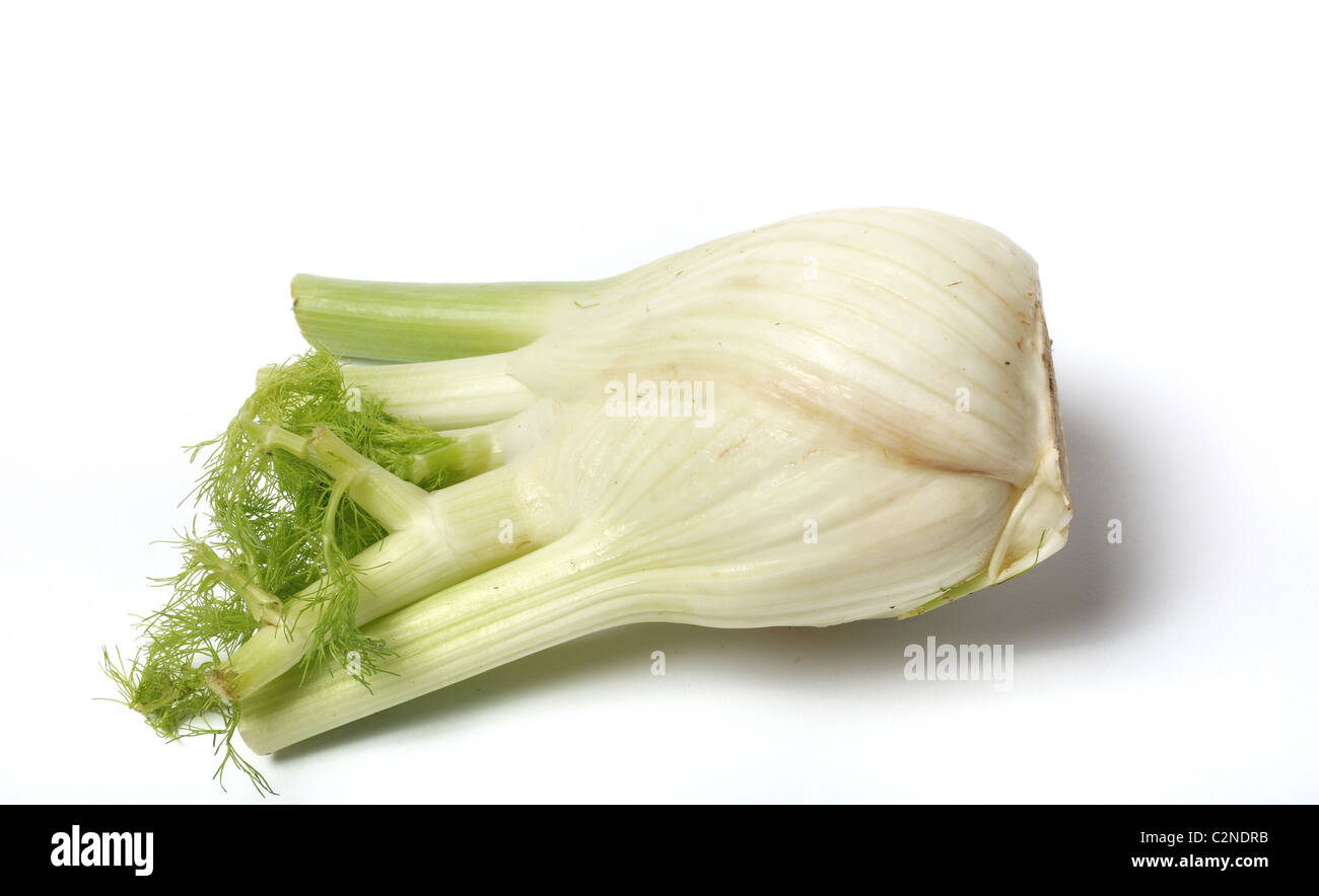 Fennel bulb hires stock photography and images Alamy