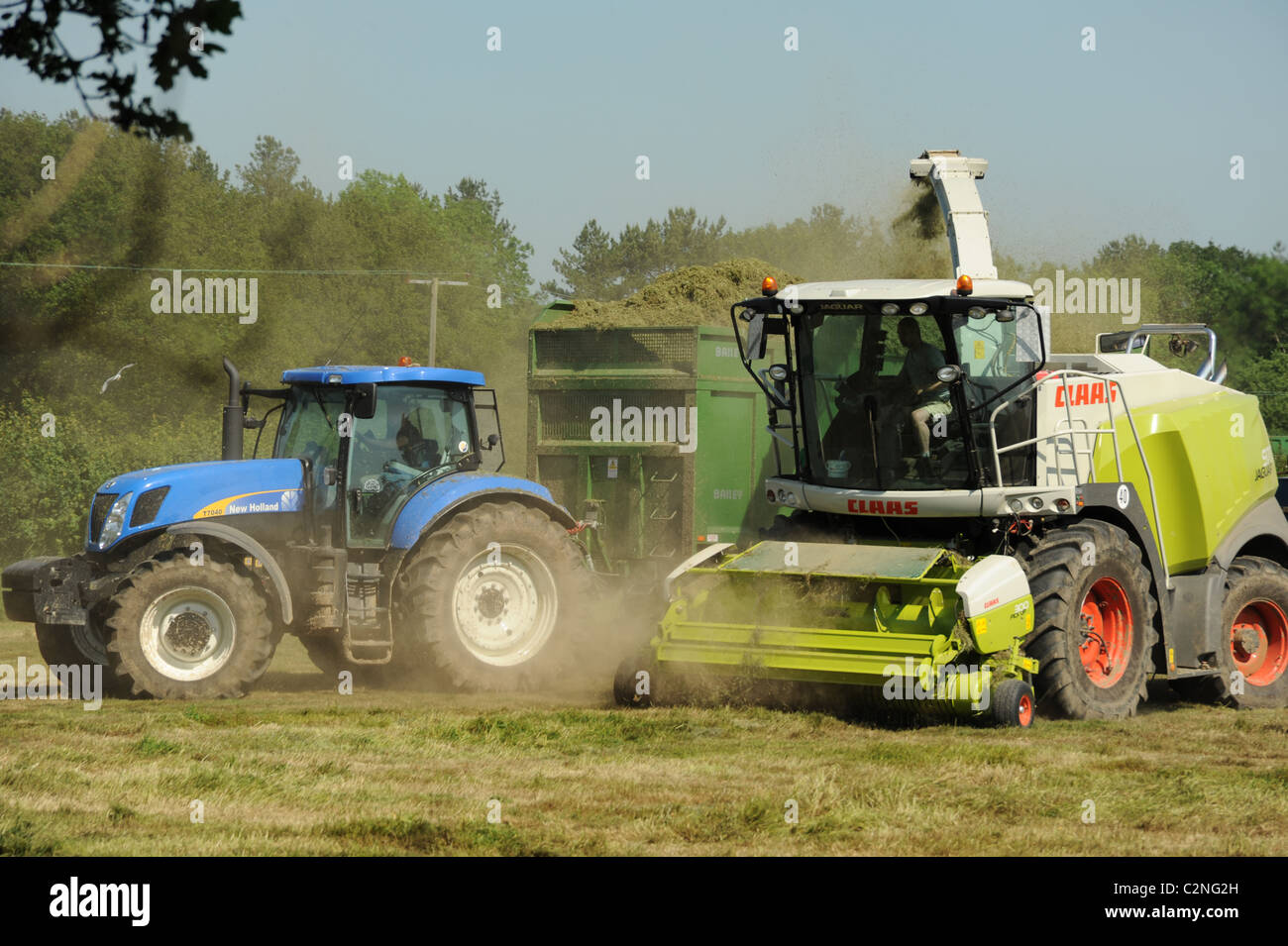 Photograph of tractors working in a filed collecting silage Stock Photo