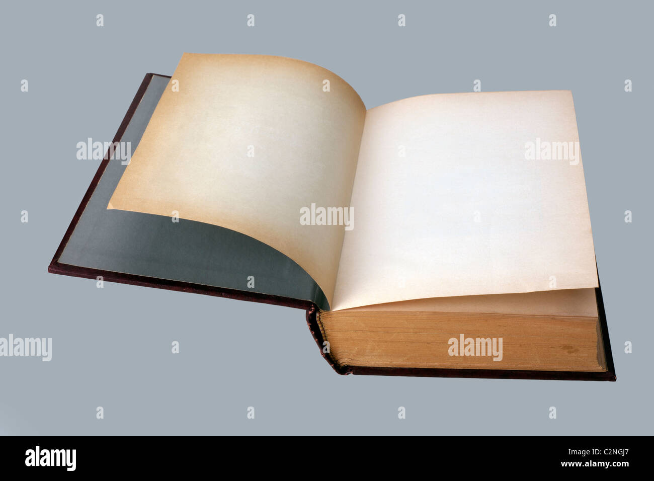 Antique blank book, open with plain pages for design layout Stock Photo