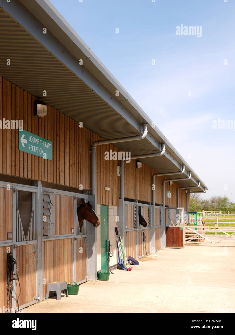 Equine Therapy Uk Stock Photos Equine Therapy Uk Stock Images