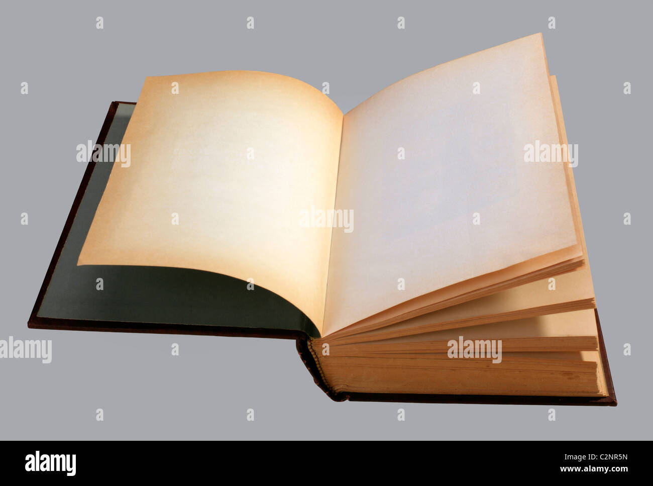Antique book, open, with plain pages for design layout Stock Photo