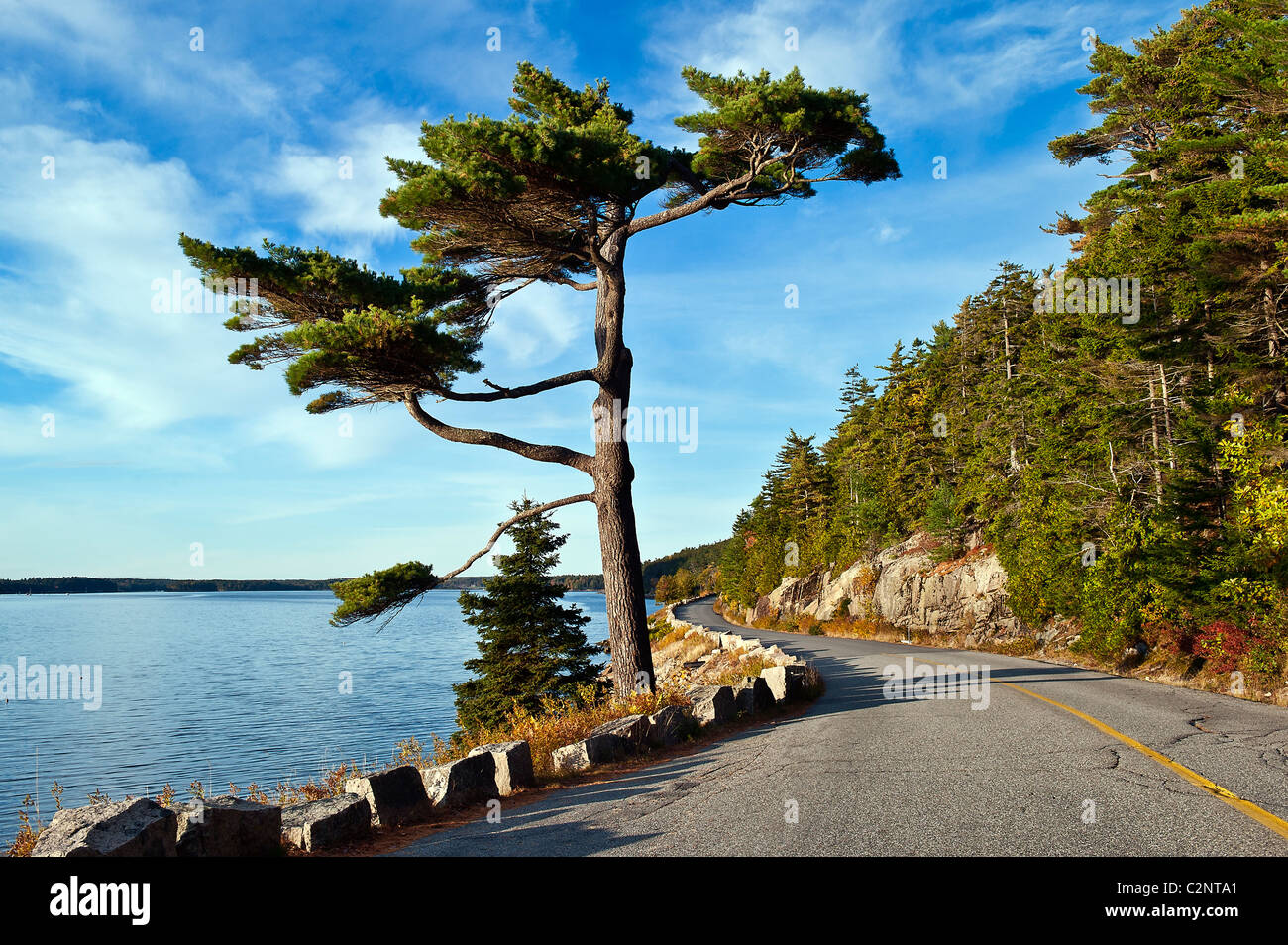 Somes Sound scenic, Mount Desert Island, Maine, ME, USA Stock Photo