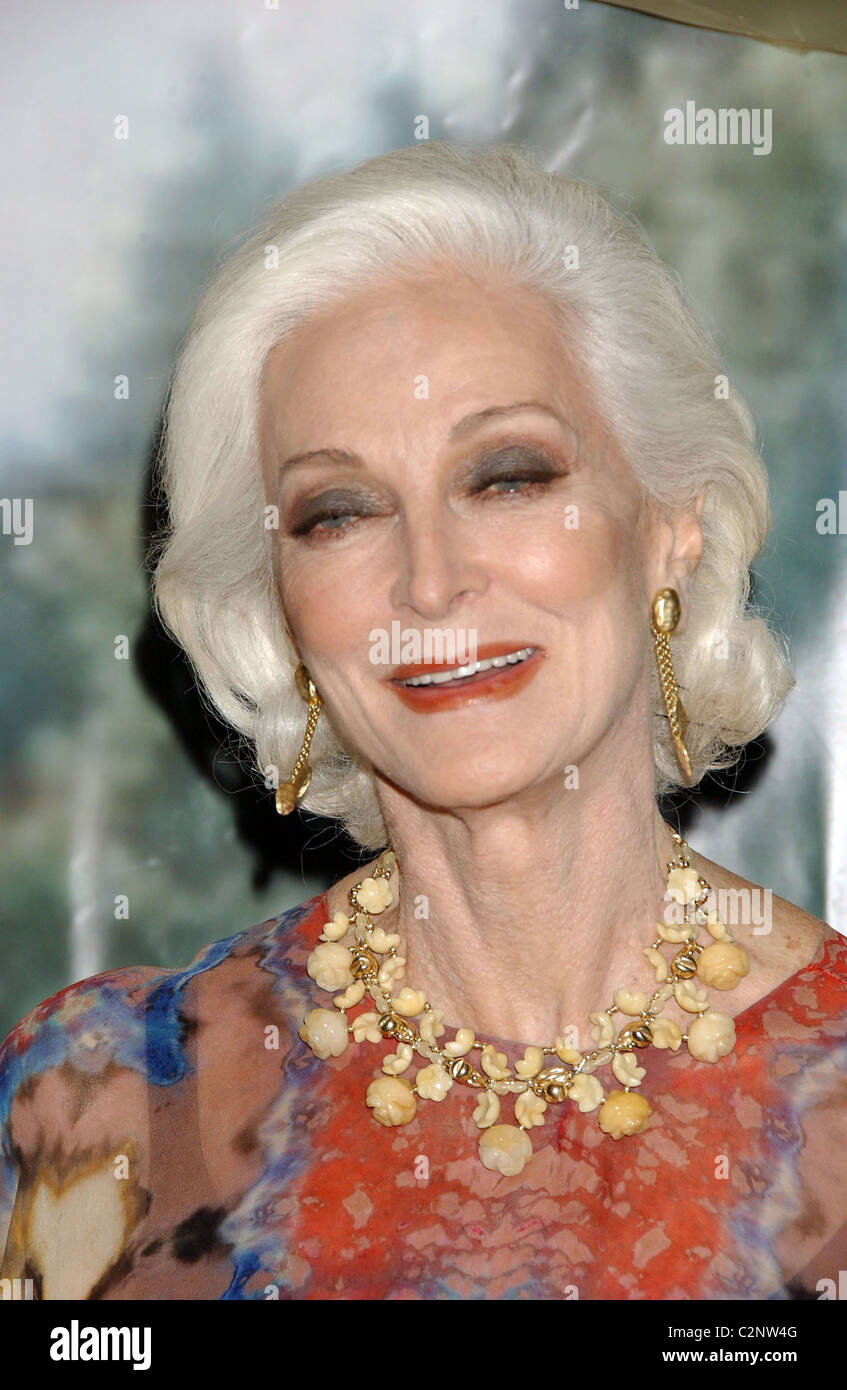 Carmen Dell'Orefice 63rd Boys' Towns of Italy Ball of the Year held at the Ritz Carlton hotel White Plains, New York - 12.04.08 Stock Photo