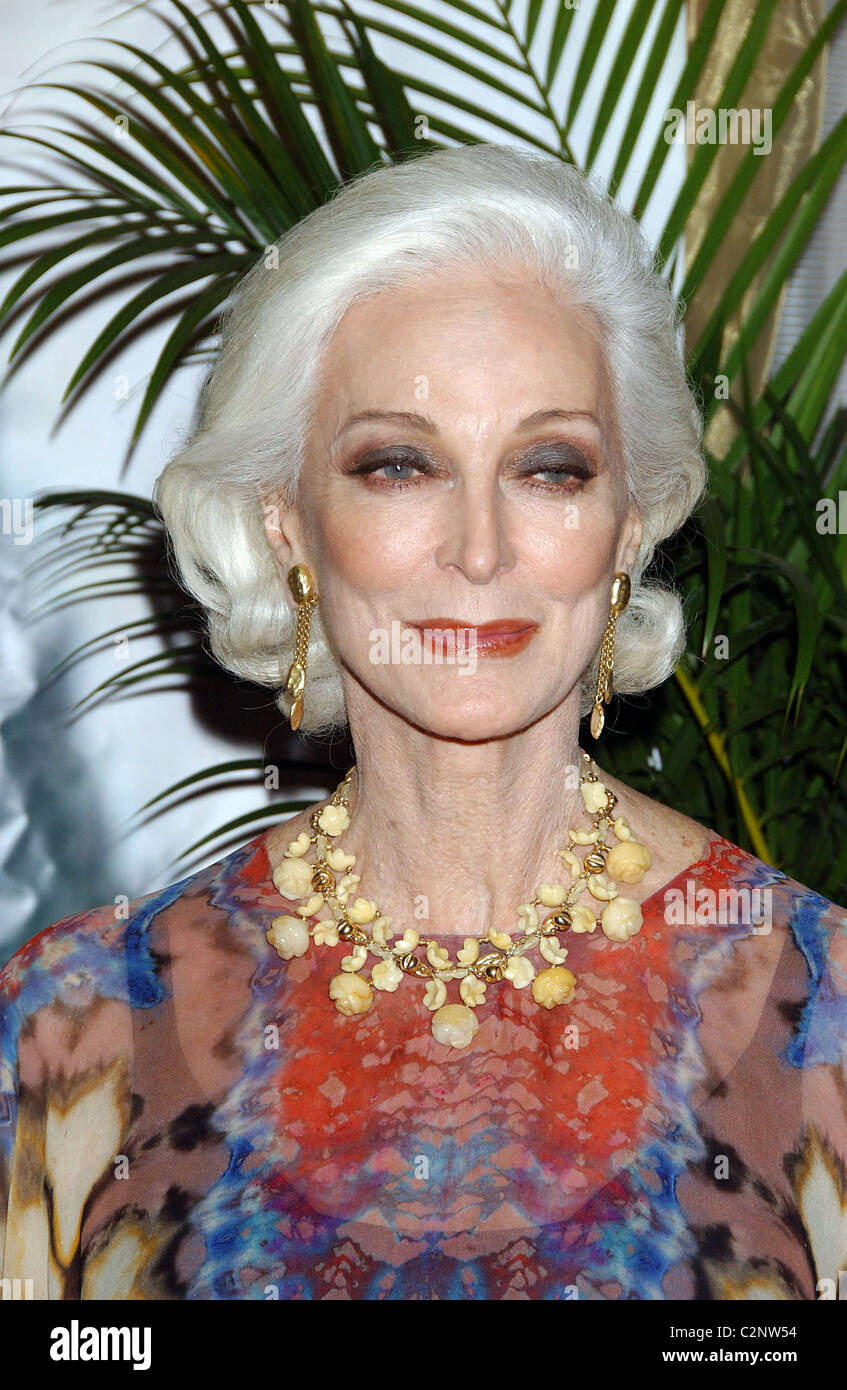 Carmen Dell'Orefice 63rd Boys' Towns of Italy Ball of the Year held at the Ritz Carlton hotel White Plains, New York - 12.04.08 Stock Photo