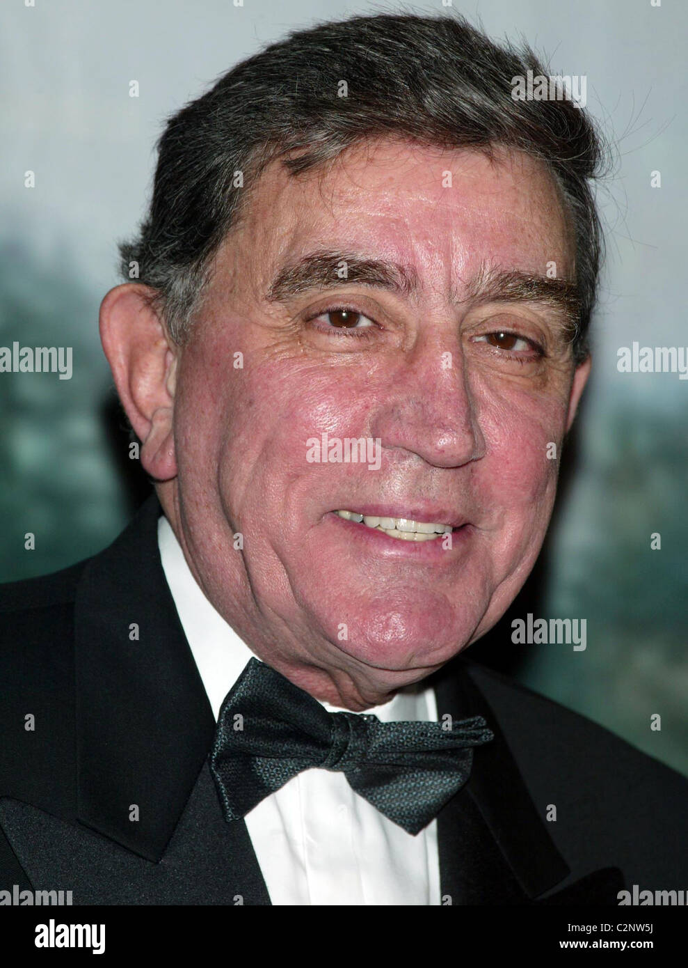Joseph M. Delfino  63rd Boys' Towns of Italy Ball of the Year held at the Ritz Carlton hotel White Plains, New York - 12.04.08 Stock Photo