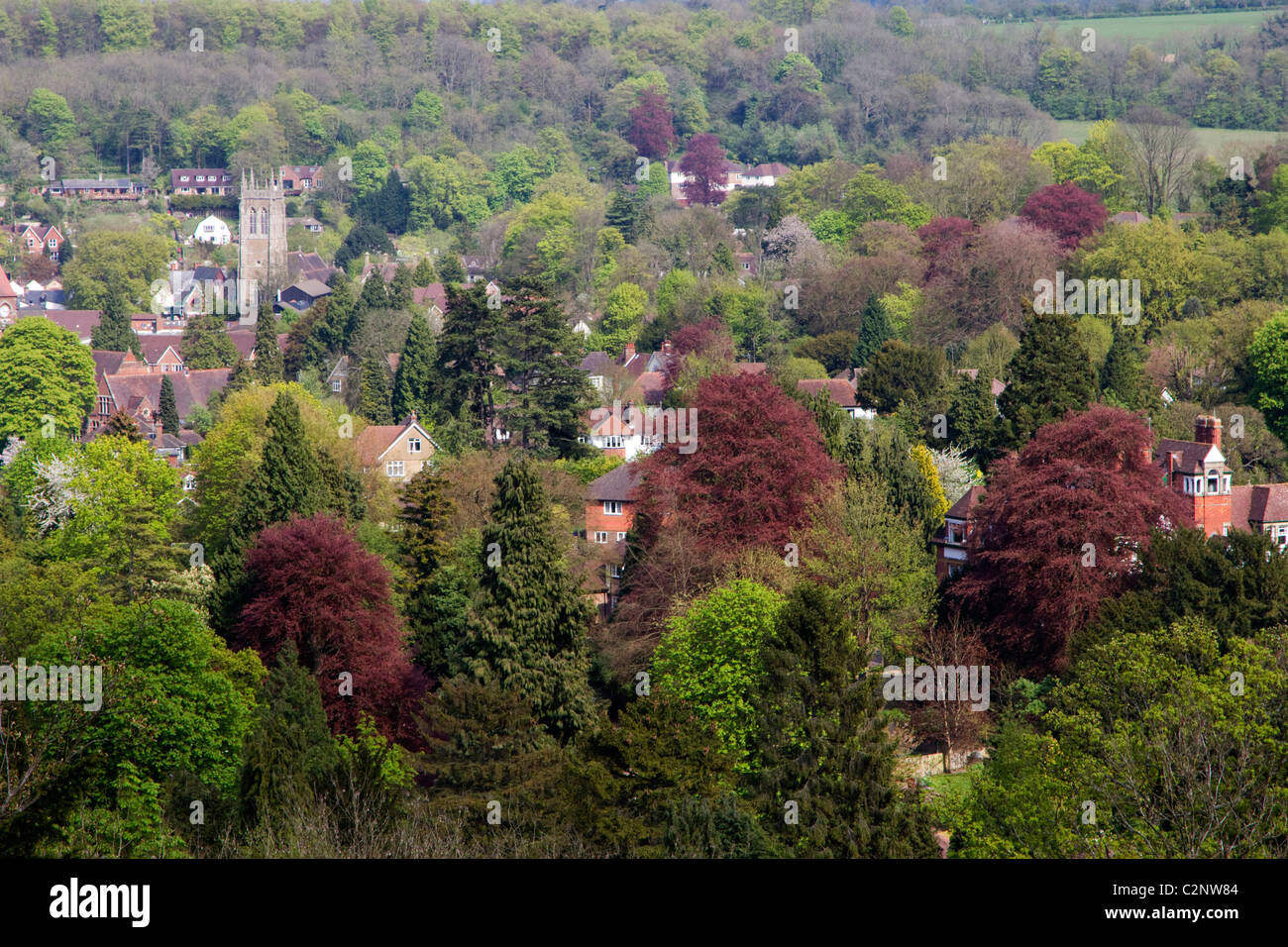 Caterham , surrey hires stock photography and images Alamy