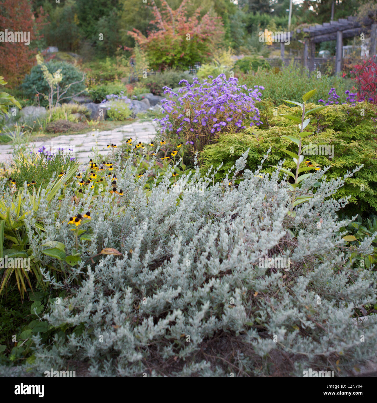 Landscaping plants hi-res stock photography and images - Alamy