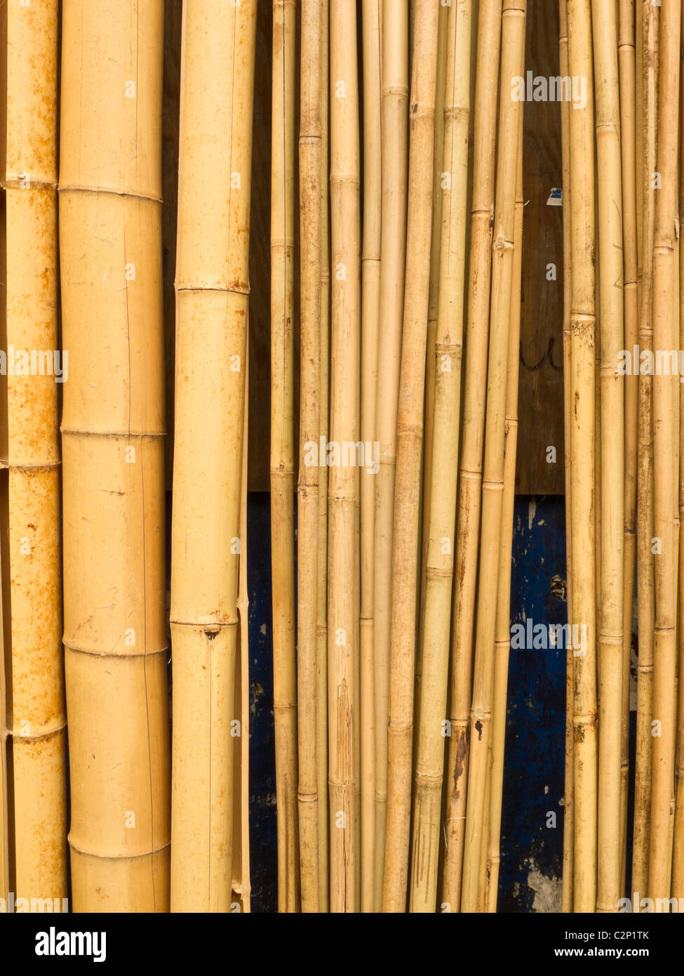 Bamboo Pole Display, New York Flower District, NYC Stock Photo
