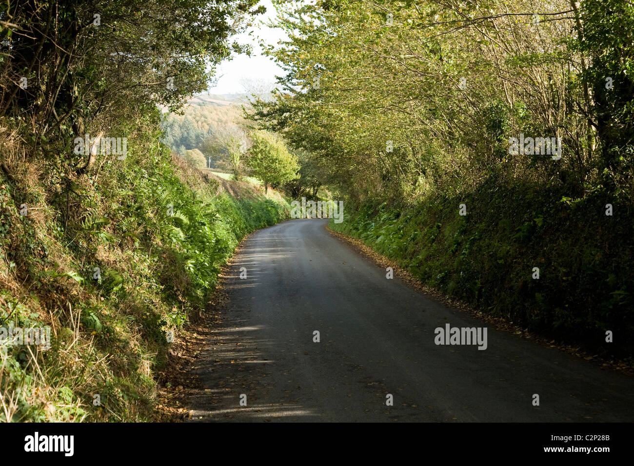Typical Cornish country road in Cornwall. UK Stock Photo Alamy