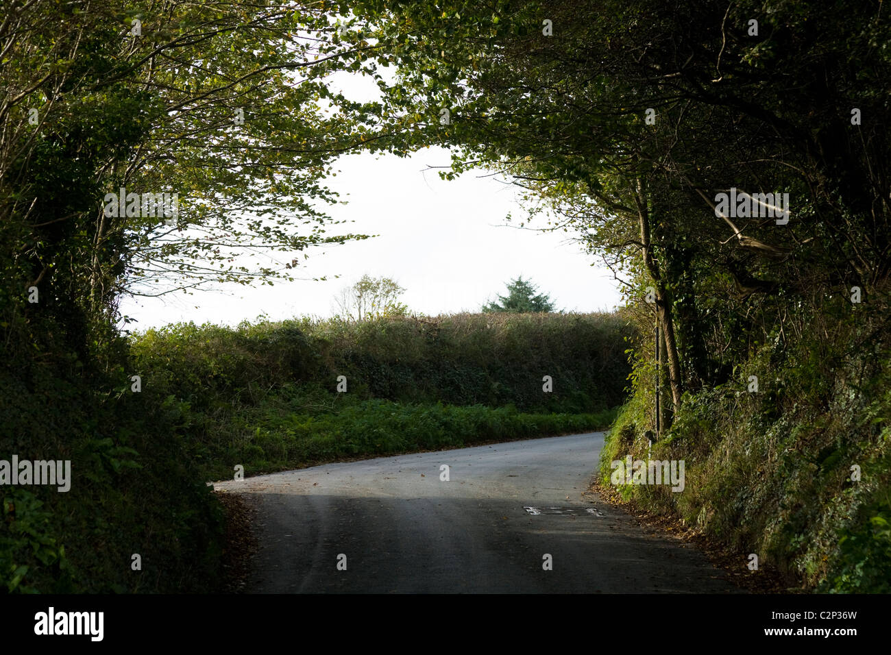 Blind Road Corner High Resolution Stock Photography and Images - Alamy