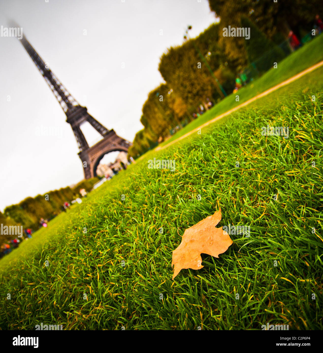 Autumn leaf on the grass, near the Eiffel Tower Stock Photo