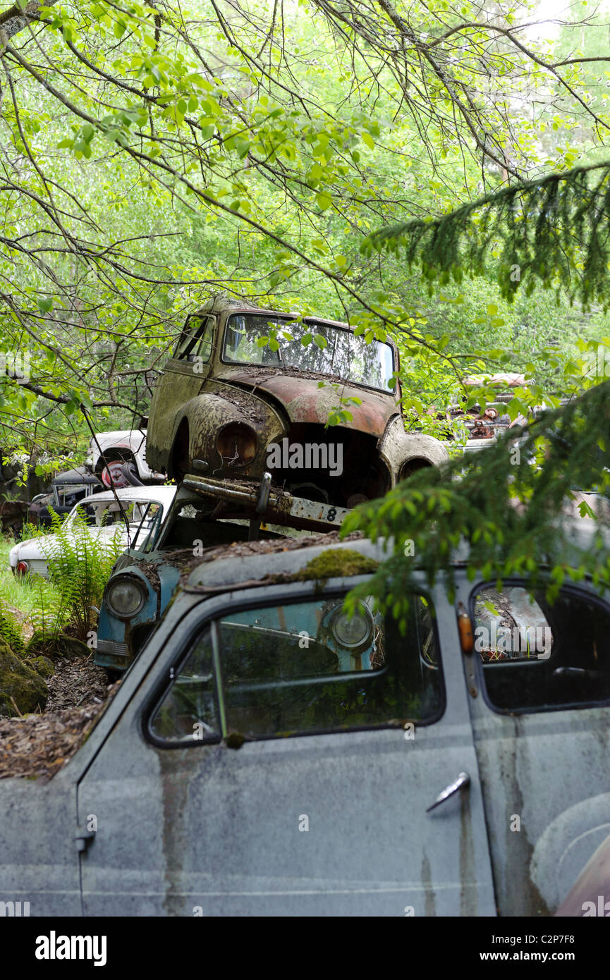 Junkyard With Wrecked Cars High Resolution Stock Photography and Images ...
