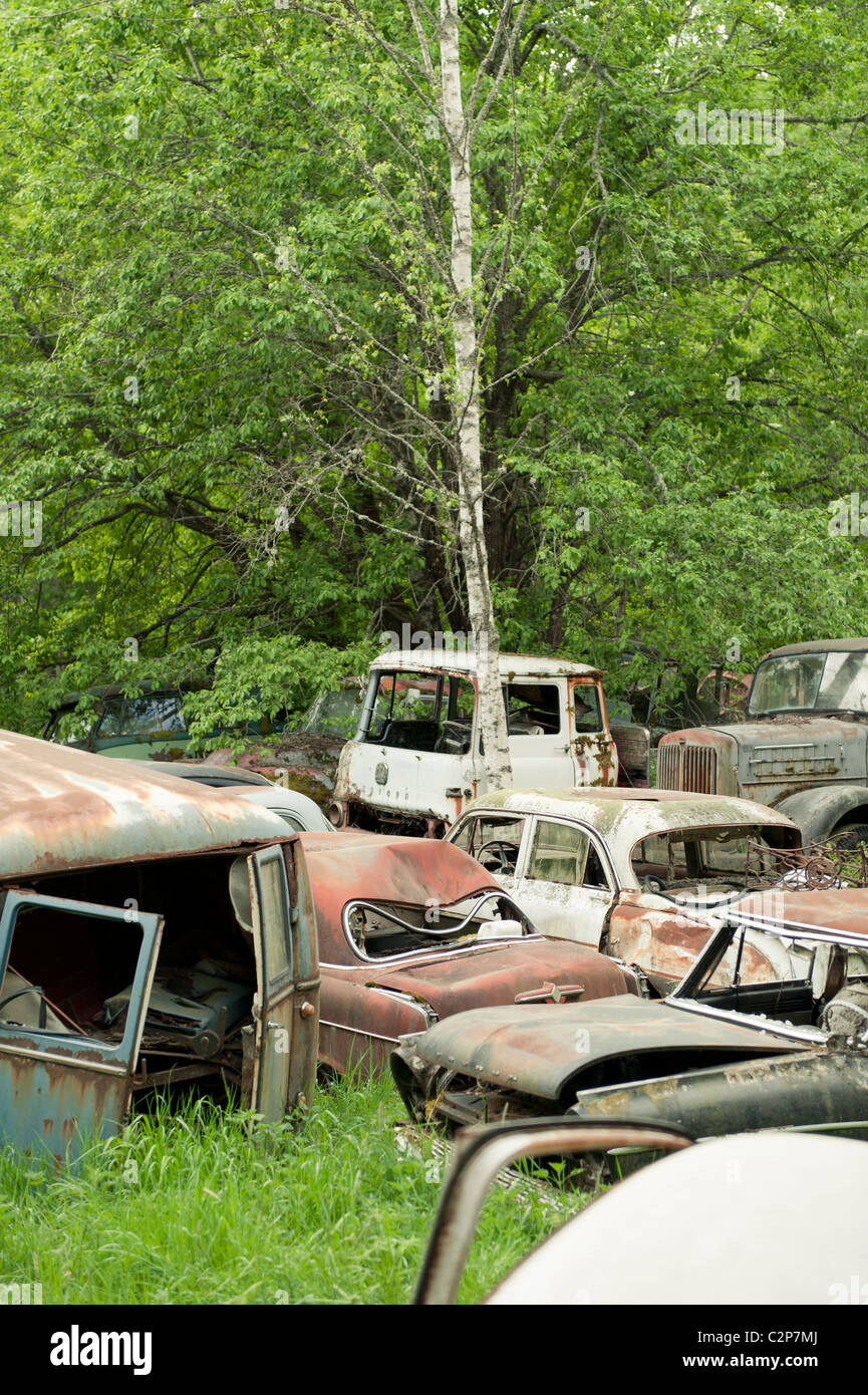 Cars in nature hi-res stock photography and images - Alamy