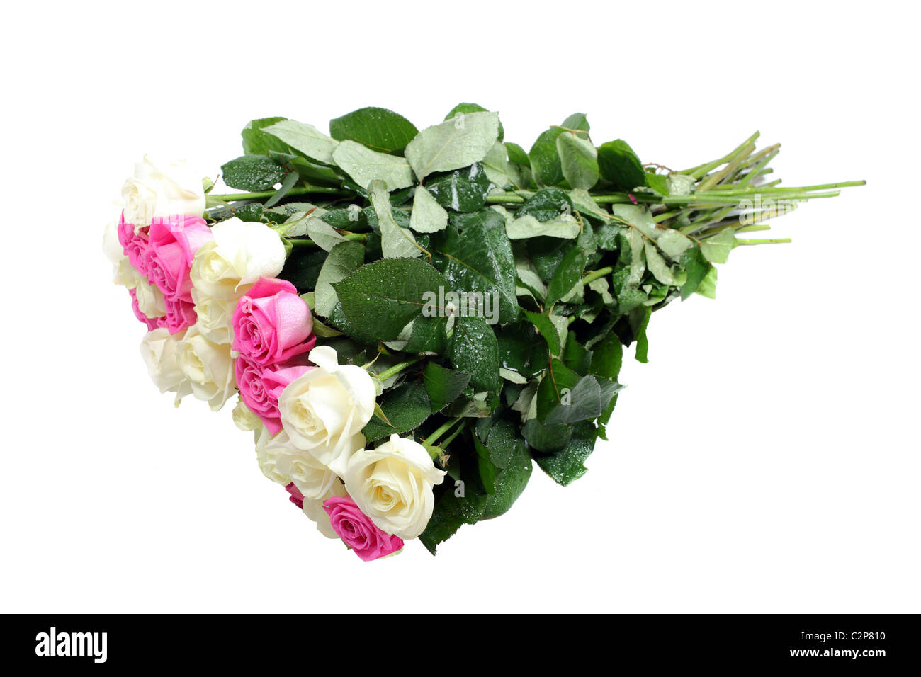 Pink and white roses bouquet isolated on white background. Stock Photo