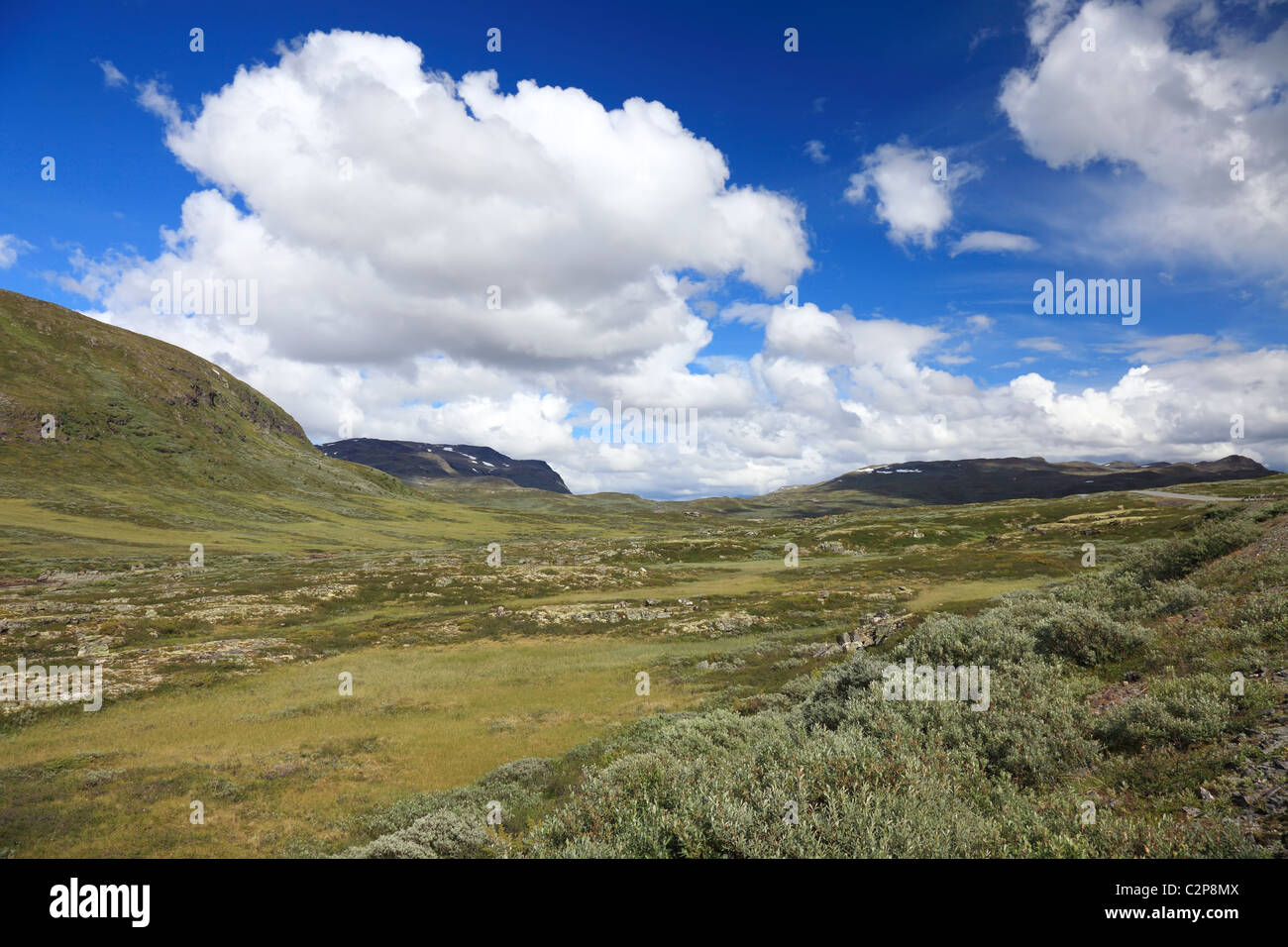 Panoramic photo of norwegian summer landscape, Scandinavian Europe. Stock Photo
