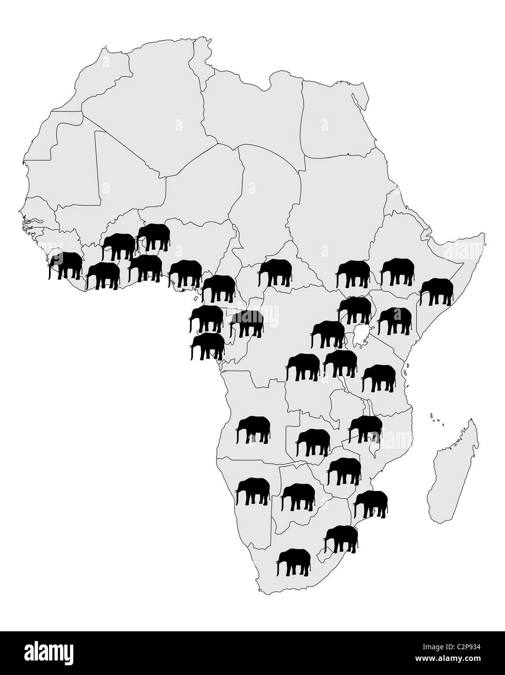 African Elephant Range C2P934 