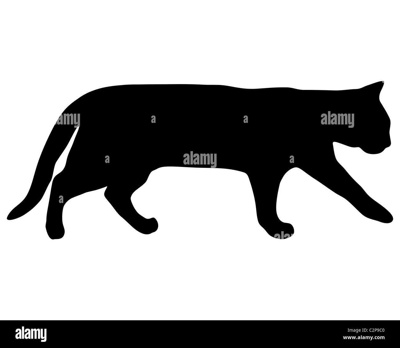 Running cat silhouette Cut Out Stock Images \u0026 Pictures - Page 2 - Alamy, image size:1300x1130