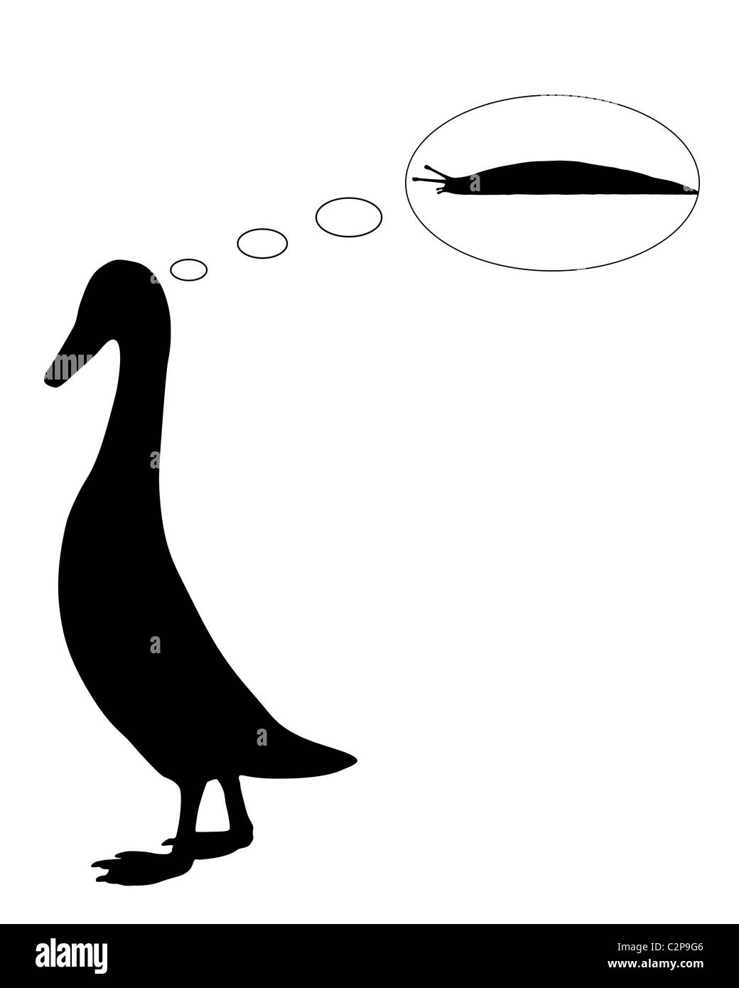 Indian runner duck Original colored pencil drawing campestre.al.gov.br