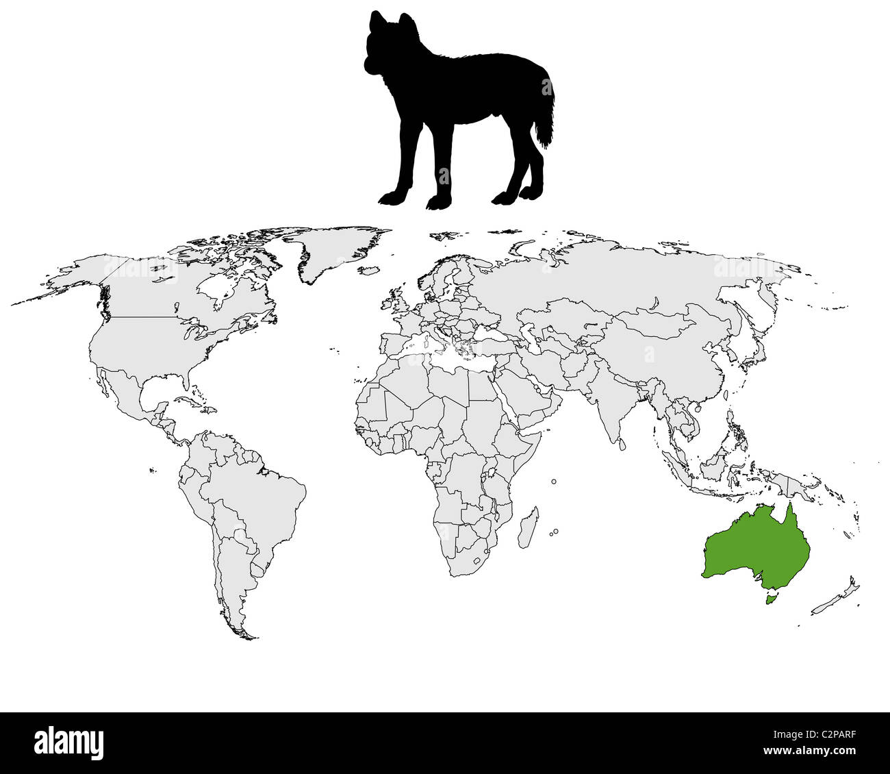 Australian Dingo range Stock Photo Alamy