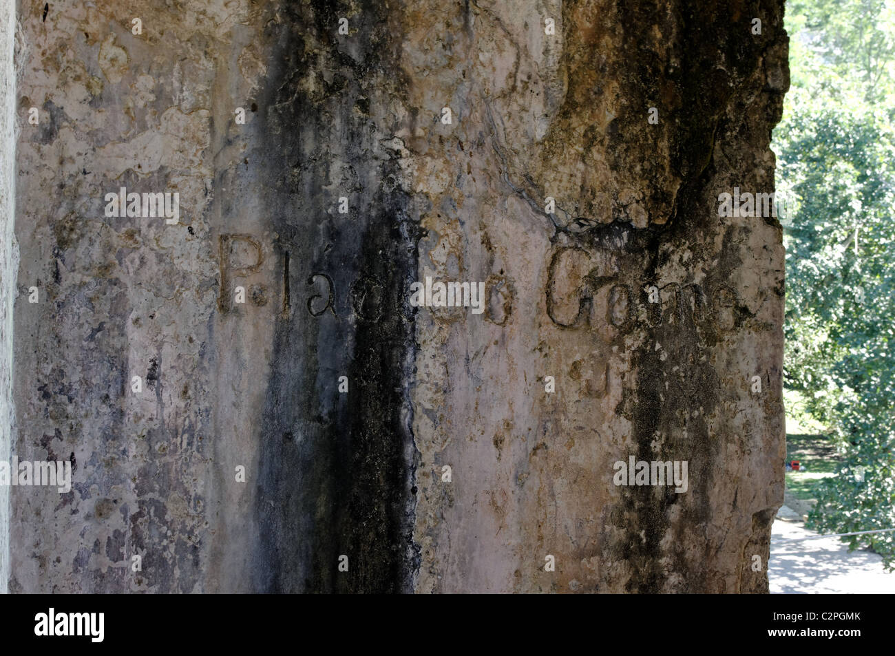 Ancient Spanish graffiti found in the Palenque ruins, it reads 'Placido Gomez'. Stock Photo