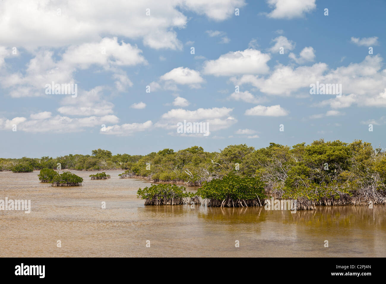 Crocodile Lake National Wildlife Refuge, Key Largo, Florida, USA Stock Photo