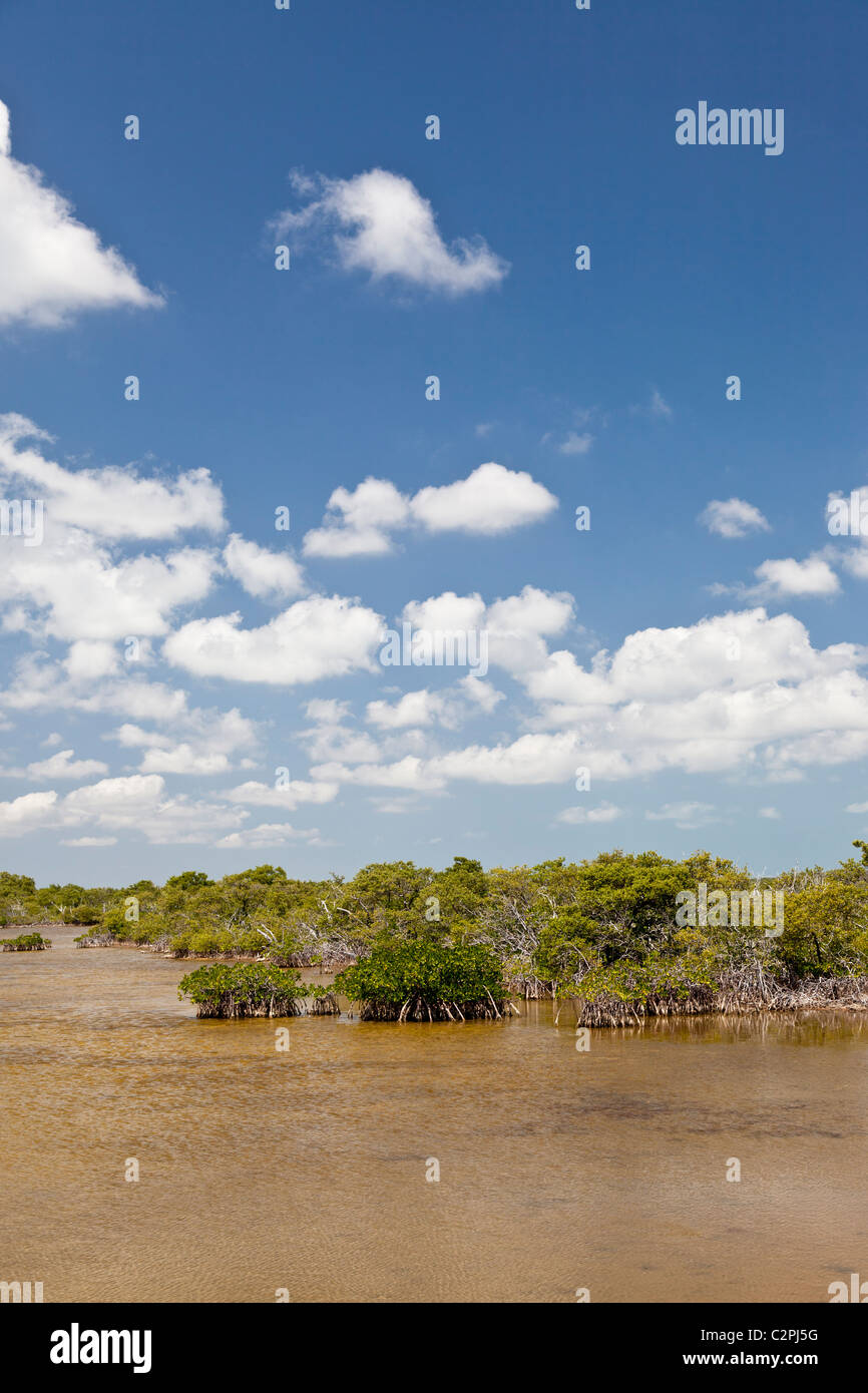 Crocodile Lake National Wildlife Refuge, Key Largo Stock Photo Alamy
