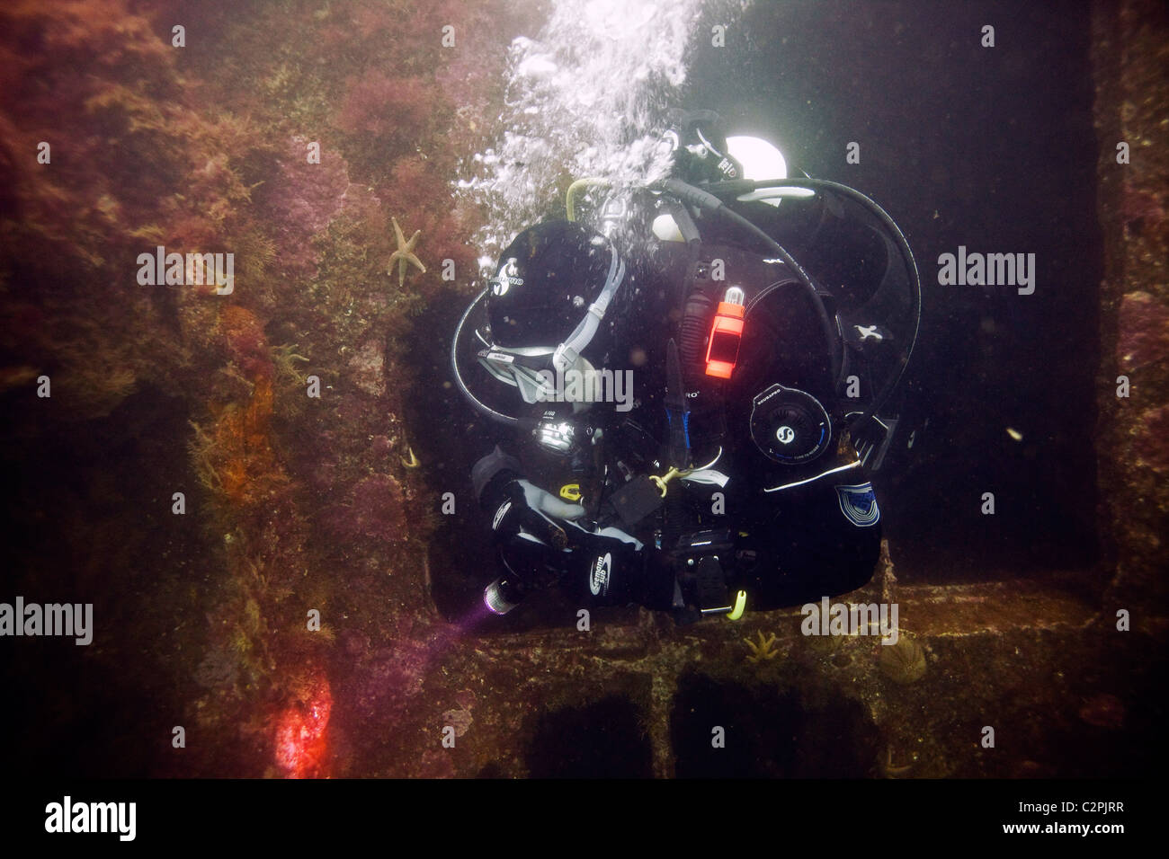 A diver emerges from the forward deck of the German destroyer, F2 in Scapa Flow, Orkney Stock Photo