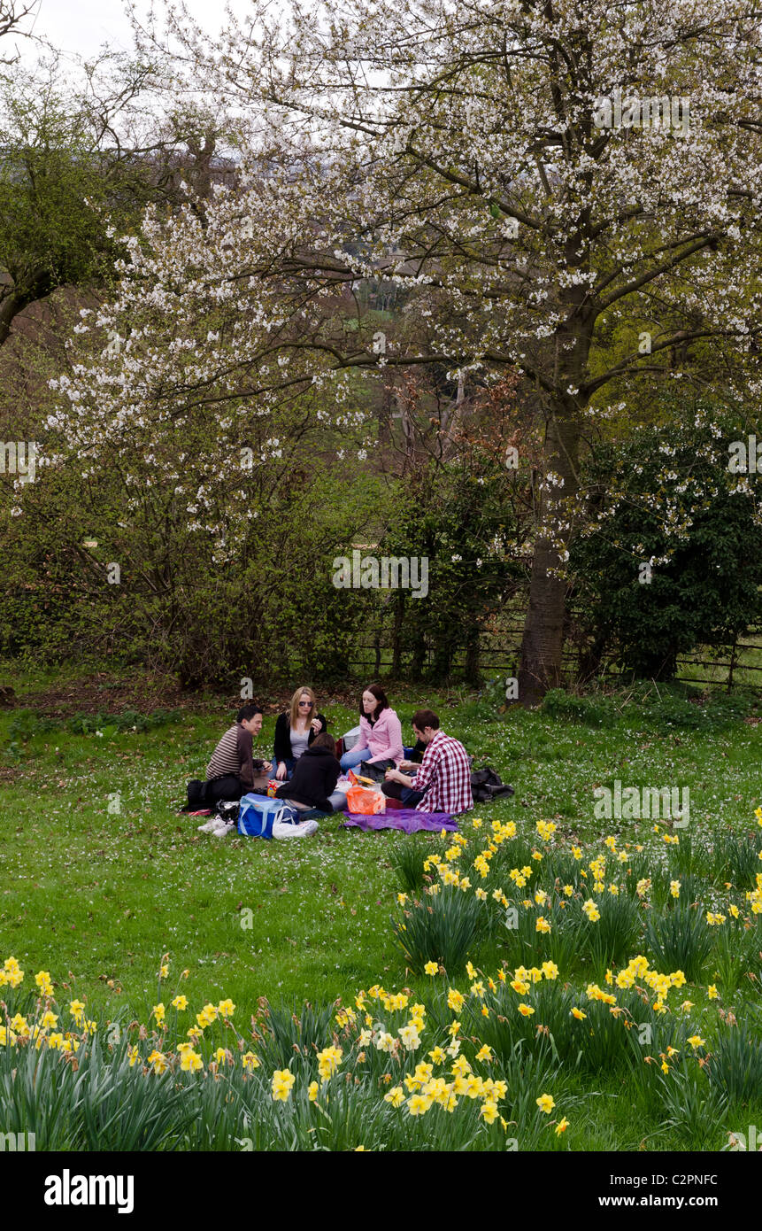 English people having a picnic at Richmond Park, London, England, Great Britain, UK Stock Photo