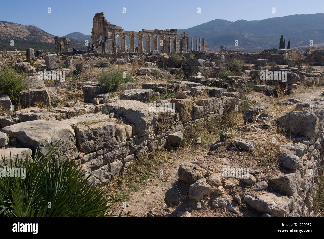 Numidian hires stock photography and images Alamy