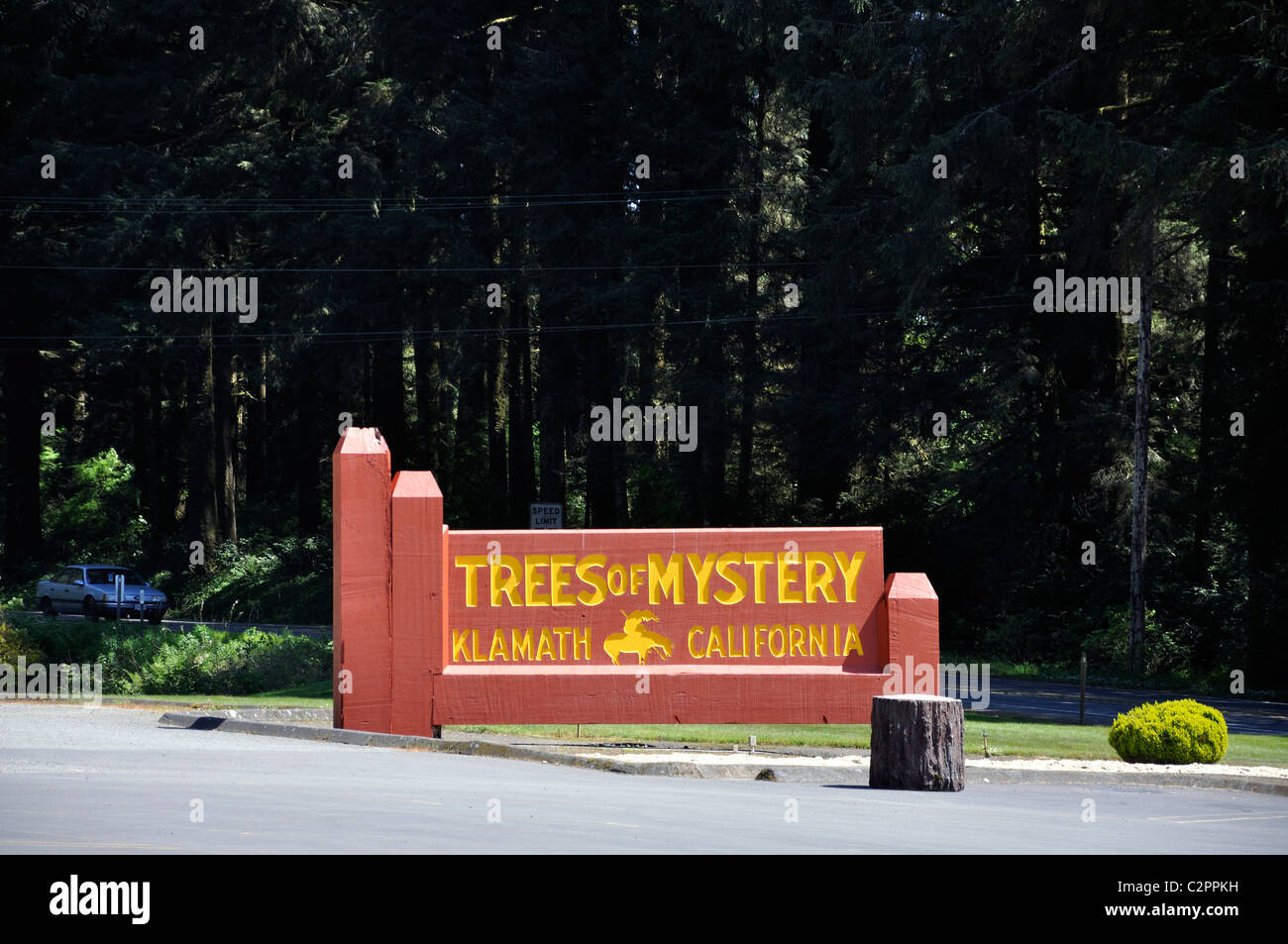 Trees Of Mystery, Klamath, California, Redwoods National Park, USA