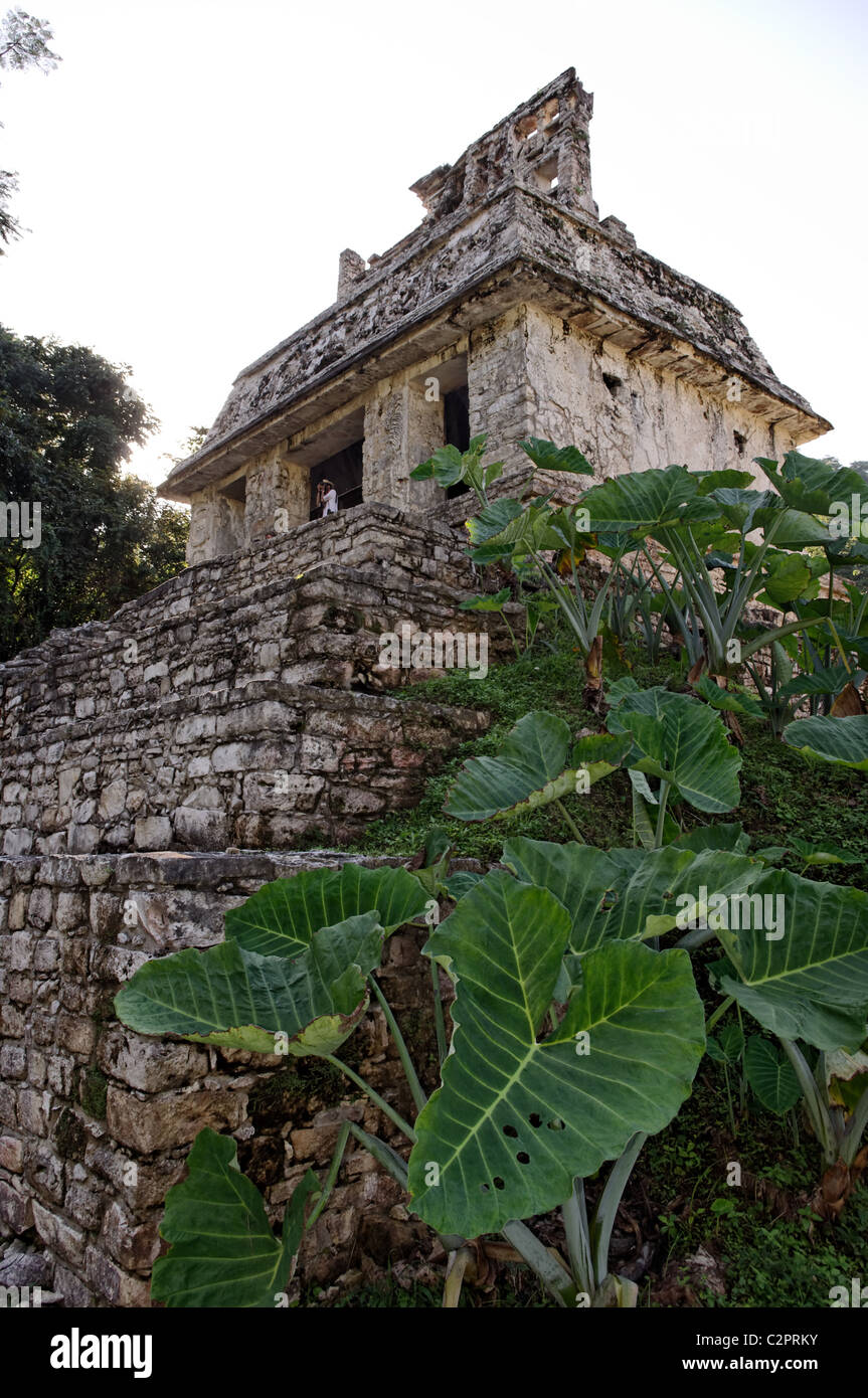 Temple of the Sun in Palenque, Chiapas. Part of the Temple of the Cross Complex. Stock Photo