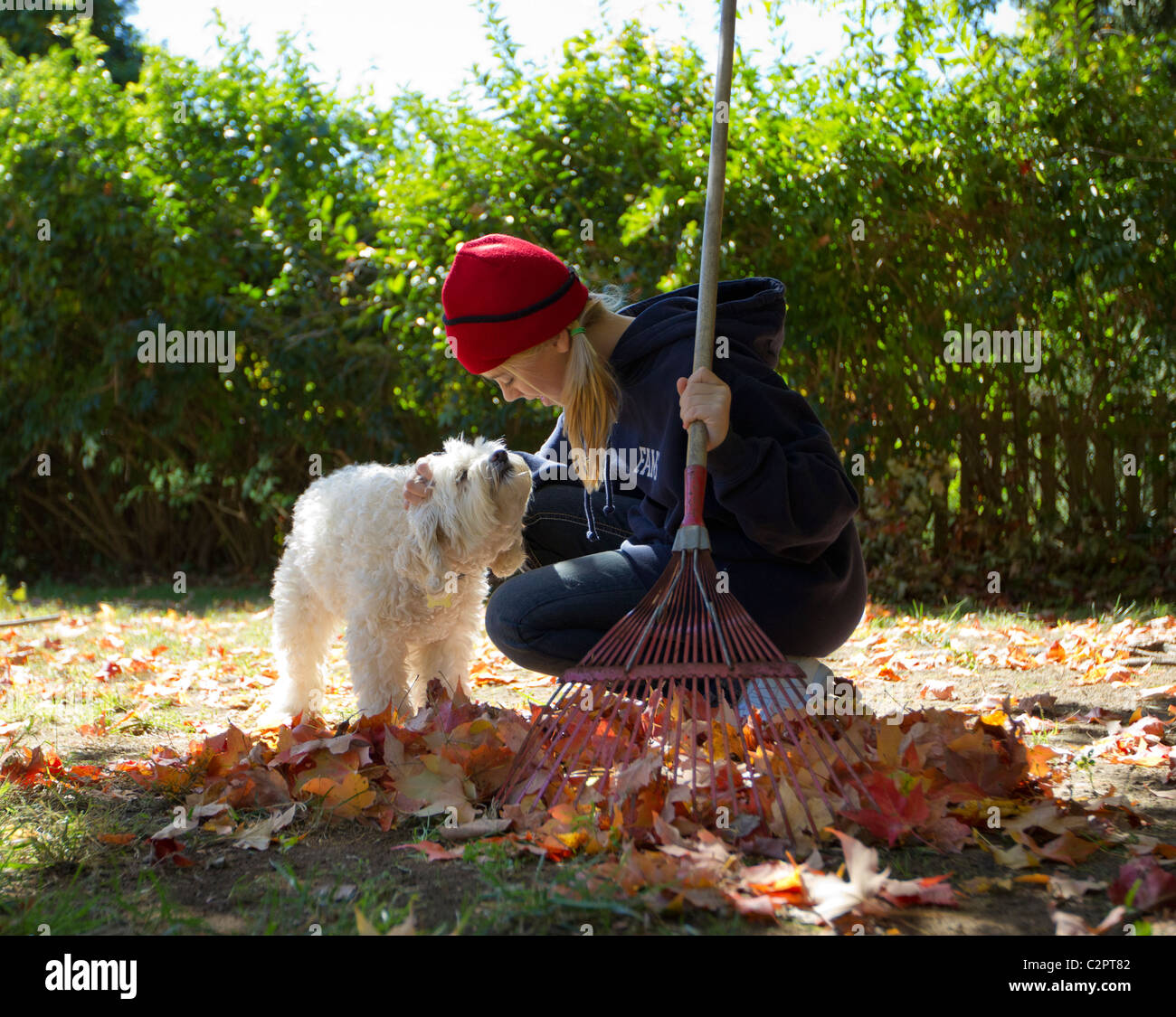 Young girl playing with her pet dog on a fall day Stock Photo - Alamy