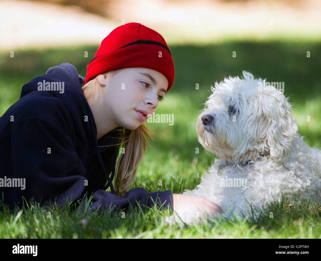 Young girl playing with her pet dog on a fall day Stock Photo - Alamy
