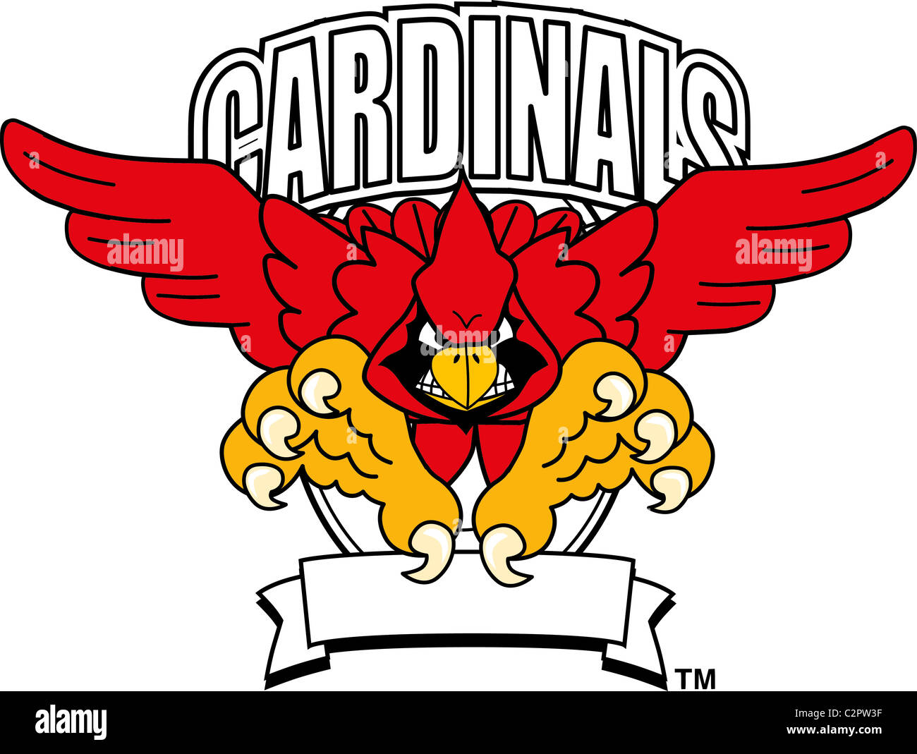 Cartoon Cardinal School Mascot Logo Template Stock Photo