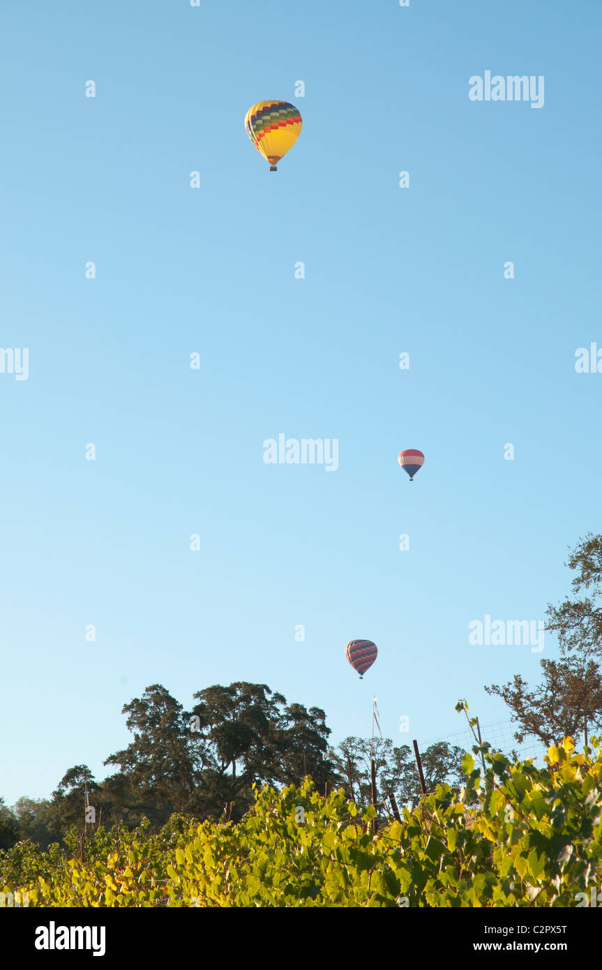 American vineyard hot air balloon hires stock photography and images