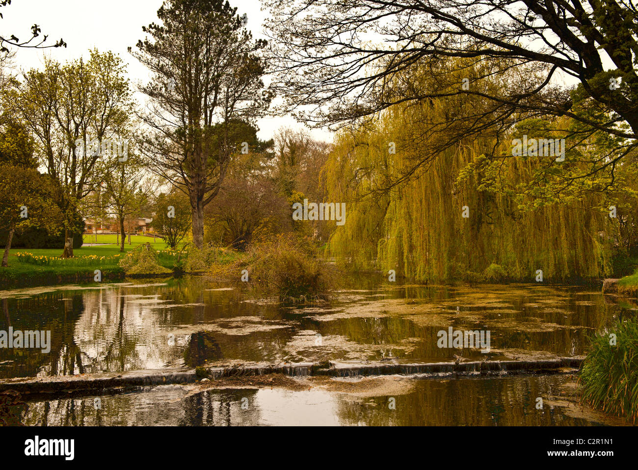 Kildare National Stud Stock Photo Alamy