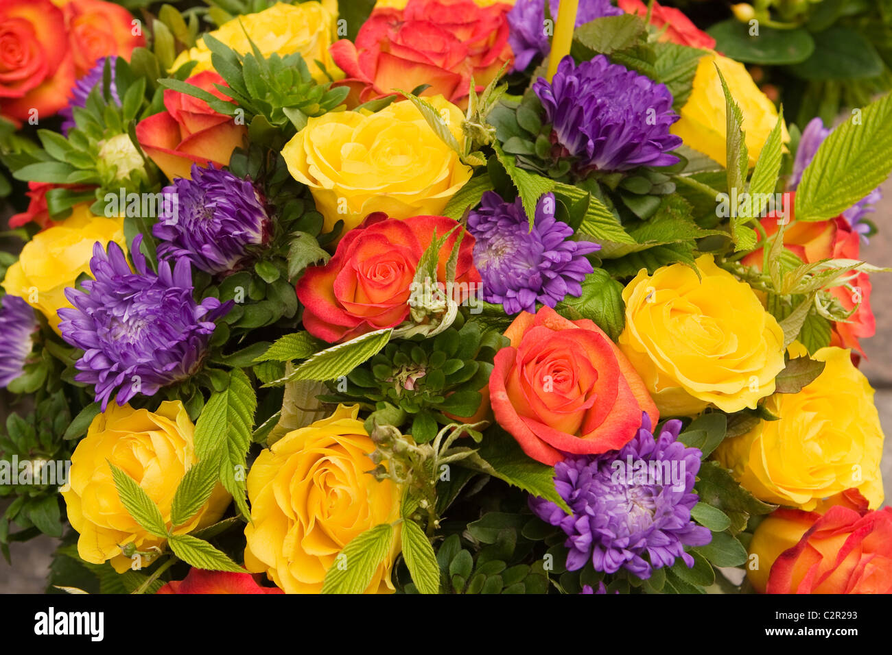 Colorful flower display hi-res stock photography and images - Alamy