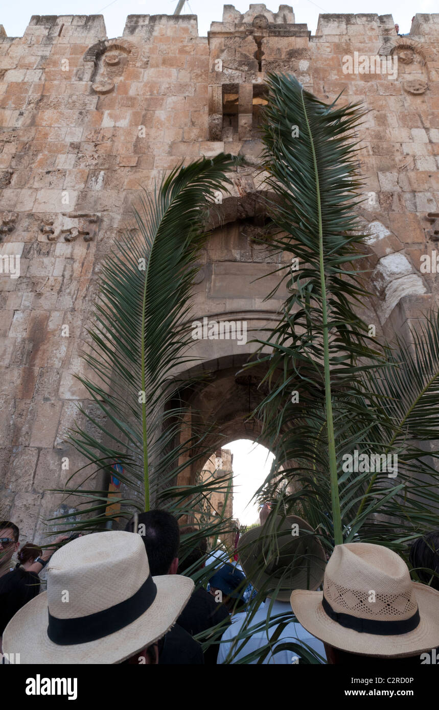 the Palm sunday procession goes from Betphage to Sainte Anne in the Old City through the mount of olives. Stock Photo