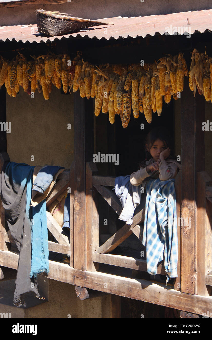 Garhwal Himalayas, India: Corncobs drying on the lintel of a traditional Bhotia homestead in Pani village. Stock Photo