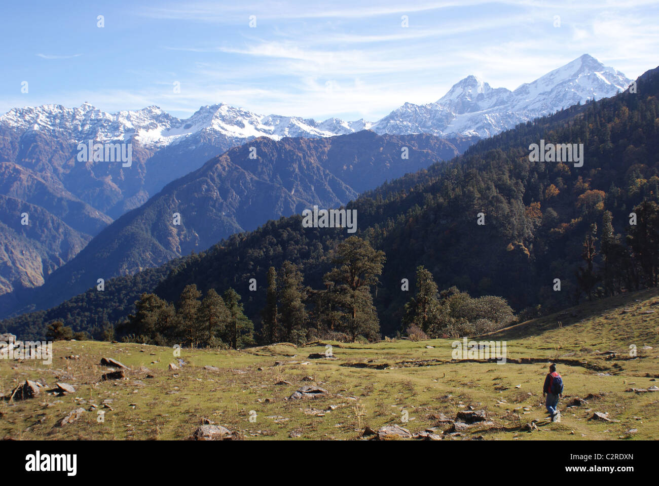 Garhwal Himalayas, India: The peaks of Nanda Ghunti loom ahead of a trekker on the Curzon Trail. Stock Photo