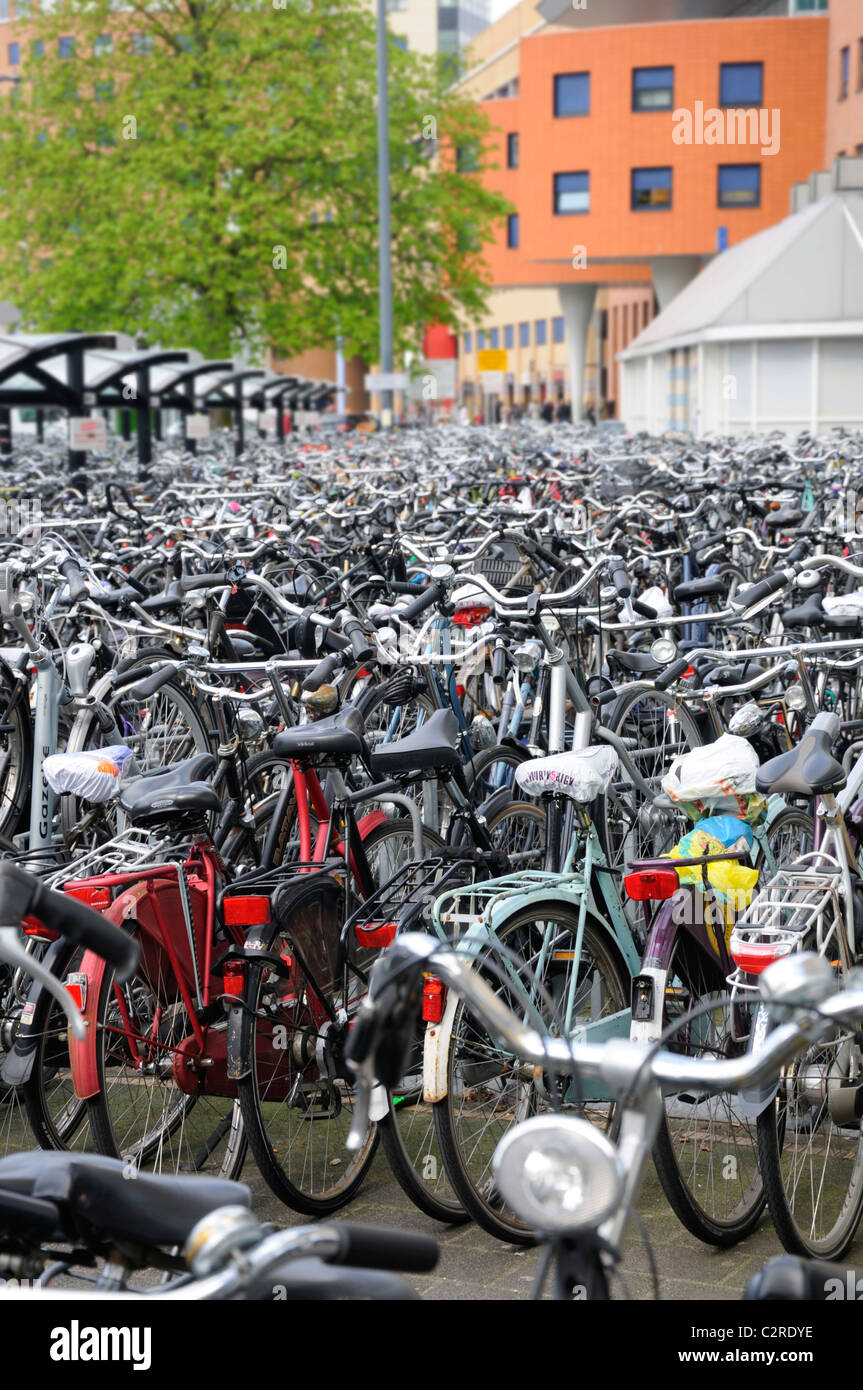 Amersfoort, Netherlands. Railway Station. Bicycle parking area Stock Photo