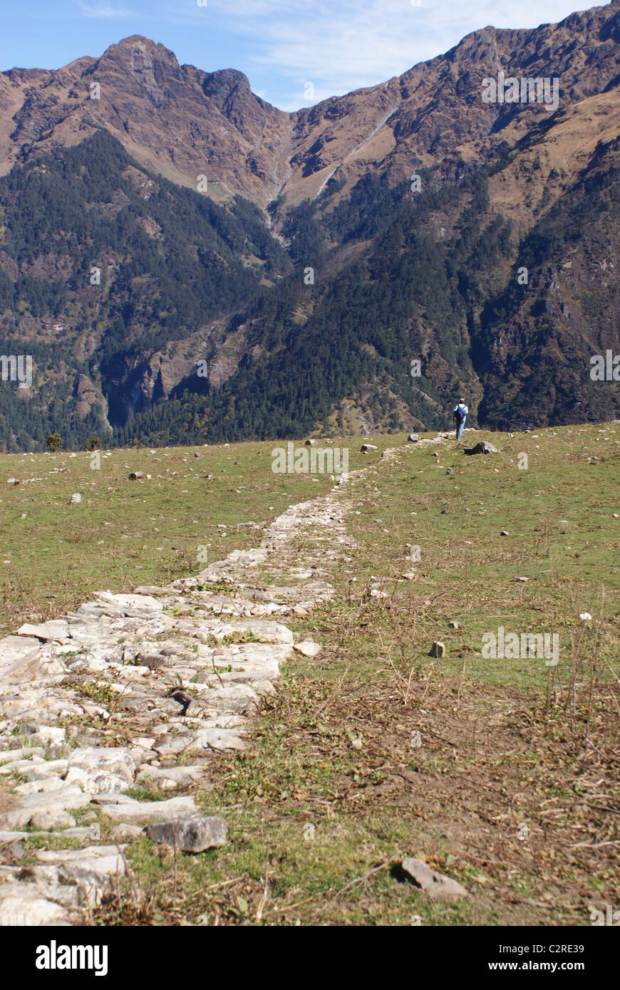 Garhwal Himalayas, India: The old flagstones of the Curzon Trail, with the Kuari Pass ahead. Stock Photo