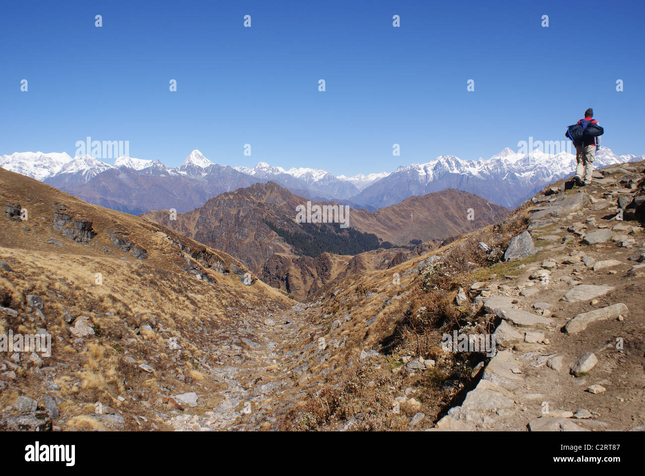 Garhwal Himalayas, India: A trekker on the Curzon Trail, just beyond the Kuari Pass. Stock Photo