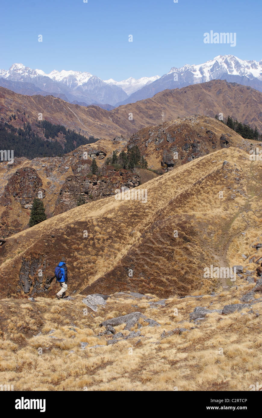 Garhwal Himalayas, India: A trekker walks over the undulating steppelands beneath the Kuari Pass. Stock Photo