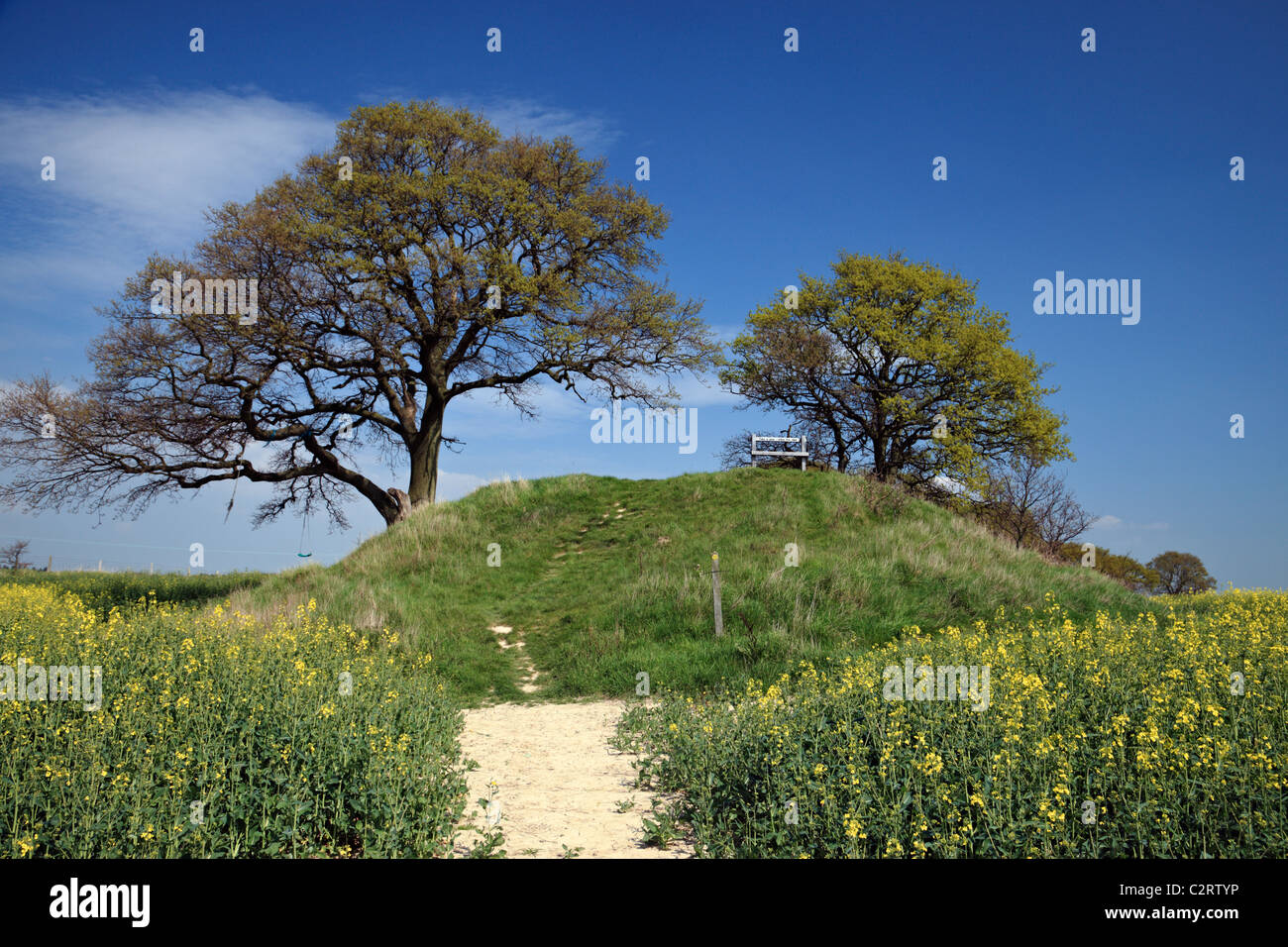 The Appledore Round Barrow, burial mound. Stock Photo