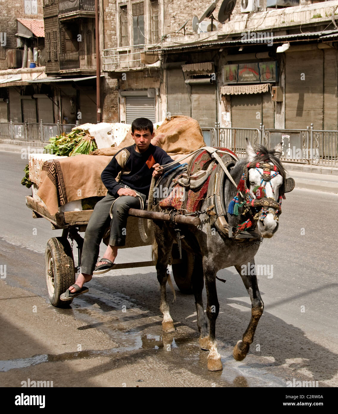 Horse cart boy Aleppo Town City Syria Syrian Middle East Stock Photo