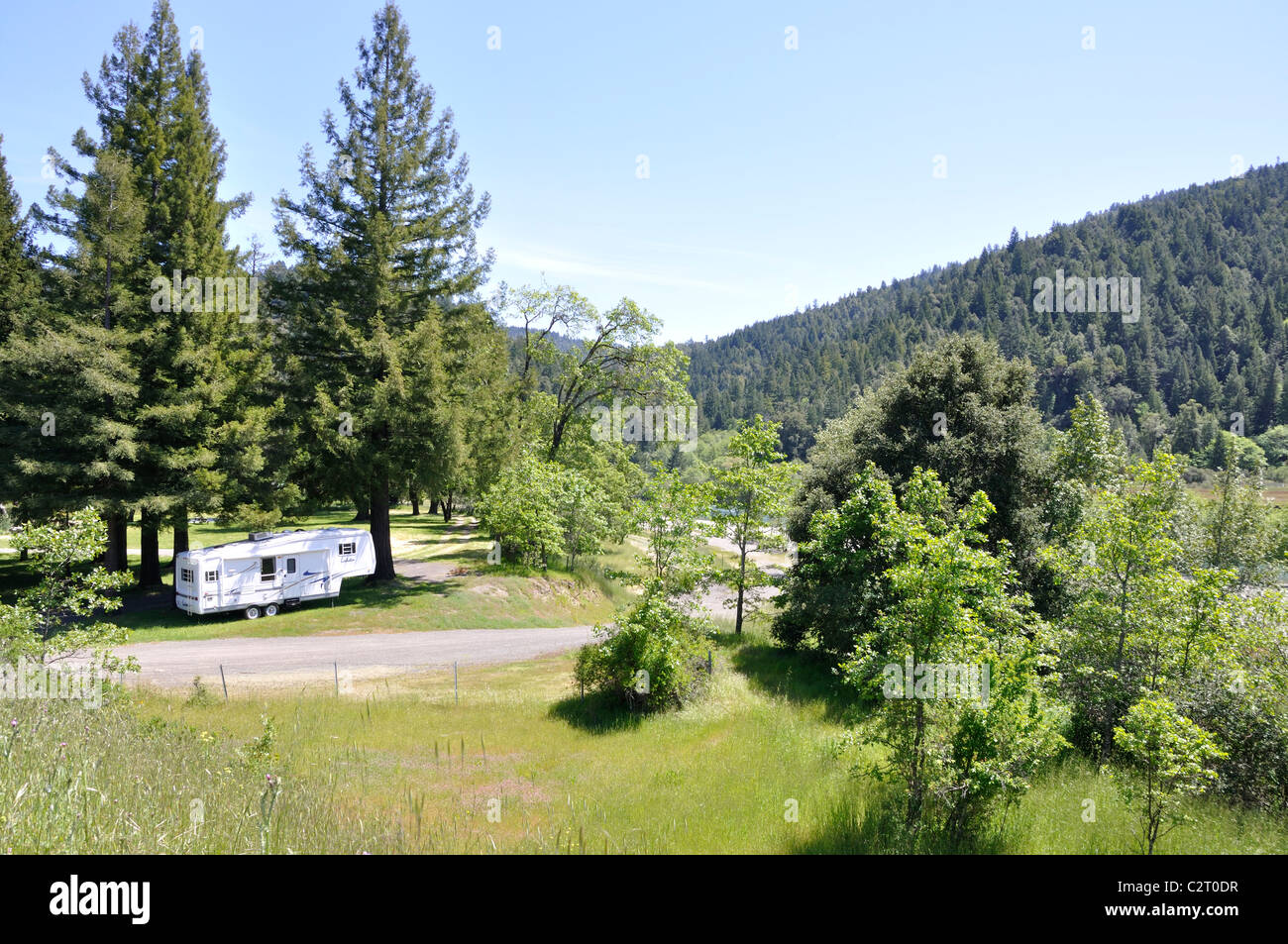 RV camping in Redwoods National Park, California, USA Stock Photo - Alamy