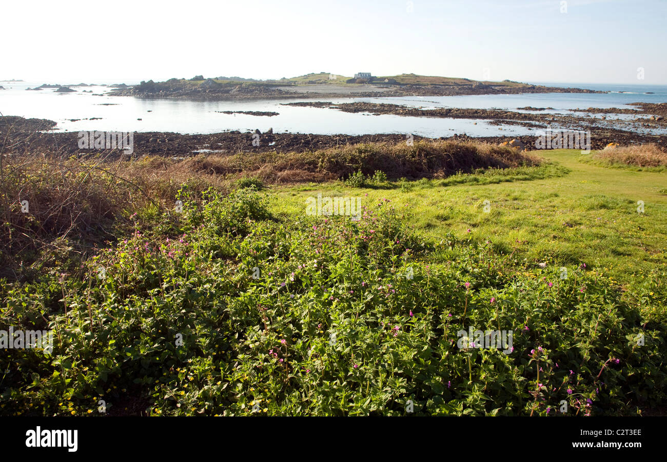 Lihou island Guernsey Channel Islands Stock Photo - Alamy